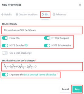 Nginx Proxy Manager 